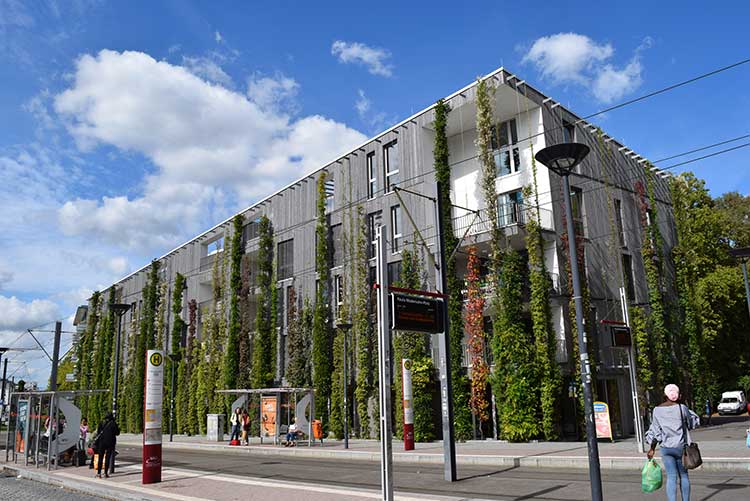 Außenansicht Stadthaus in Freiburg mit seiner Fassadenbegrünung 